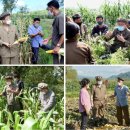 통일농민농장 이미지