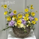 다예플레르 이미지