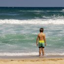 여름이네 이미지