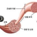 MJ헬스 이미지