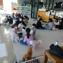 DaDogDaDog 애견카페 이미지