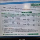 DB생명 (용순 아람 선영) 가입내역 이미지