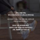 [ 핑크파르페 핫딜 ] 이렇게 편한 운동화 찾기 어려워요! 오래걸어도 발이 편한 어글리슈즈, 걸으면서...