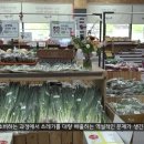 느루가게 이미지