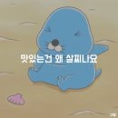 올인원짐 이미지