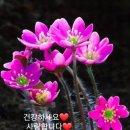 행복한하루 이미지