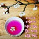 달산3리평촌마을회관 이미지