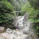 수우산악회 제206차 소백산국립공원 다리안관광지 산행공지 이미지