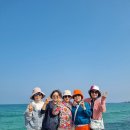 제주도 콜밴 제주 가이드 투어 요금 및 이용 후기