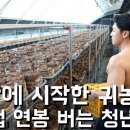 머쉬앤 이미지