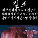 치매예방 사과 담기 게임ㅡ코로나 땜시 나다이기도 ㅡ어려운 주말 ㅡ집에서 심심 풀이게임ㅡ 이미지