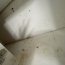 고실마을(휴먼시아8단지) 이미지