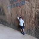 그레이스텔 이미지