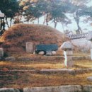 곡산부원군 연사종 묘소 이미지