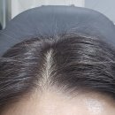 영헤어모드 - 창원시 성산구 | 올리브영 나르카 하입 핏 헤어 마스카라 내돈내산 후기 (잔머리픽서 사용기)