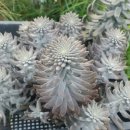 원석농장 이미지