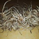 연일종합카센타 이미지