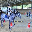 순창군승마장 이미지