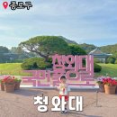 평일 청와대 관람 마지막기회 아이와방문 최악