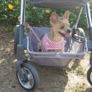 리안이네농장 이미지