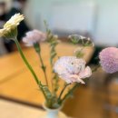 한국의 다도(茶道)_다신전과 동다송(1) | 오늘의 다도교실