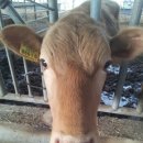 이종섭 농장 이미지