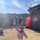 J풀빌라키즈 이미지
