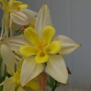 구석농장 이미지