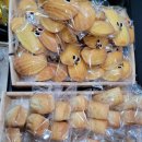삼마리 과자점
