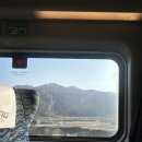 도도한 낙곱새 | ʙᴜꜱᴀɴ🌊🏖️🐚