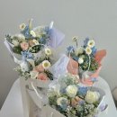 블루＆화이트 이미지