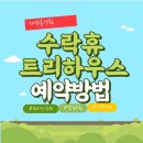 음악역1939 세미나실A | 수락휴 트리하우스 오픈! 예약 방법은 어디서 ? 객실 가격부터 위치까지 총 정리