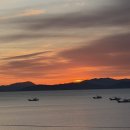 율포해수욕장 | 전남 보성 해돋이 명소 "율포 해수욕장" 일출 성공 후기