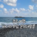문무여행사 이미지