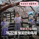 개금2동-10 | 봄나들이~ 개금2동 벚꽃데크길과 벚꽃문화축제 참여후기