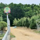 다산솔농장 이미지