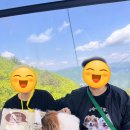 위드댕댕 이미지