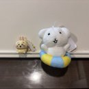 퍼스널컬러로 생기로운 학부모 생활 | 스터디윗미 자주 묻는 질문/정보
