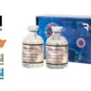 조이고양이병원x조이강아지병원