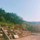 민지네 펜션 이미지