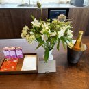 스테이 시래 이미지