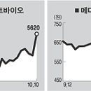 (주)오리엔트 - 성남시 중원구 | (주)오리엔트
