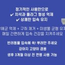 펫츠랑 이미지