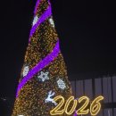 빛가람 호수공원 | 나주야경명소 빛가람호수공원 빛축제 다녀왔어요