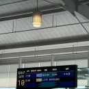 대한 | 대한항공 부산-나고야 특별기내식 후기 | 김해공항 왕복 탑승기