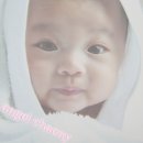 채은