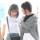 사쿠라 이미지