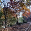 보은약수터 이미지