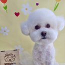 몽몽바블펫# 네이버블로그