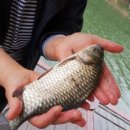 하천리-6 이미지